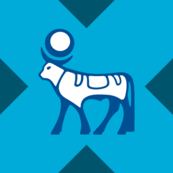 Novo Nordisk xStock
