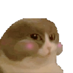 NUMCAT