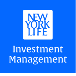 NYLIM US High Yield Bond Fund