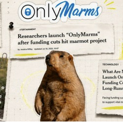 OnlyMarms