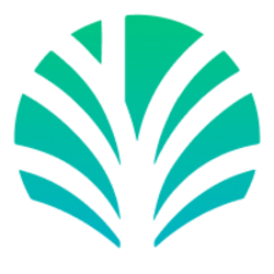 Palm Economy