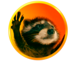 Pedro the Raccoon