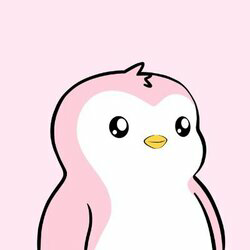 Polly