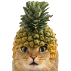 Pineapple Cat