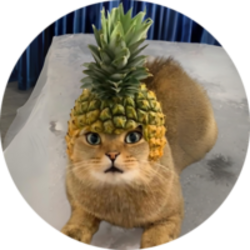 Pineapple Cat