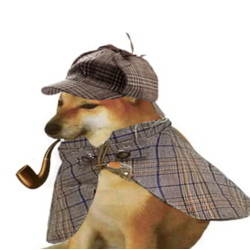 pipedog