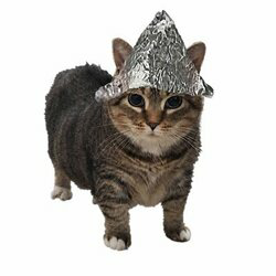 Psyopcat