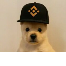 PUP