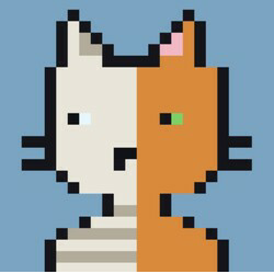 Quantum Cats