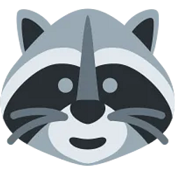 Raccoon Coin