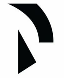 Raiden Network