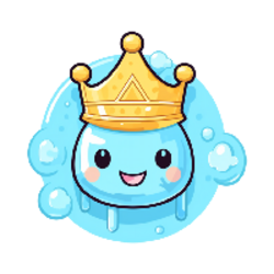 Rain Coin