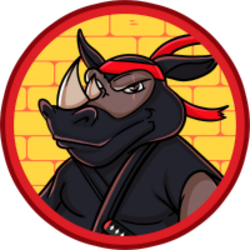 Rhino Ninja