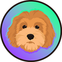 Rocky the dog