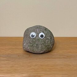 Rocky