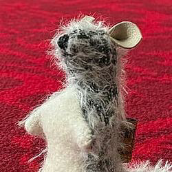 Roo the Kangaroo