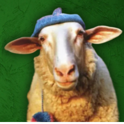 Sheep Wif Hat