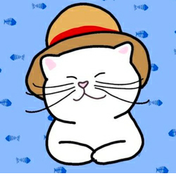 Shiro Neko CTO