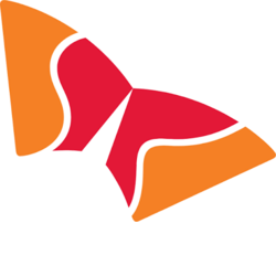 SK Hynix (Backpack Securities)