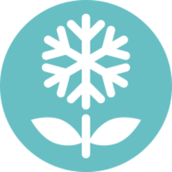 SnowBlossom
