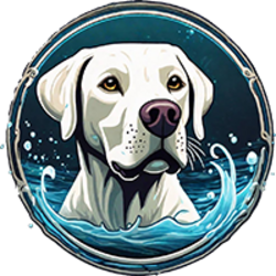 Splash Dog