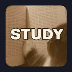 Study conviction