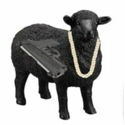 The black sheep