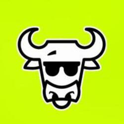 The Bull