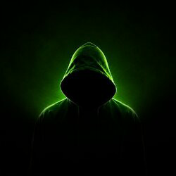 The Hoodies