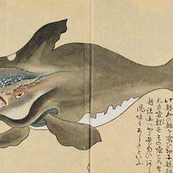 The Japanese Whale