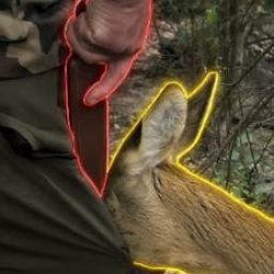 The Rousseauian Deer