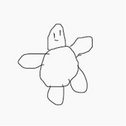 The Sloppy Drawn Turtle