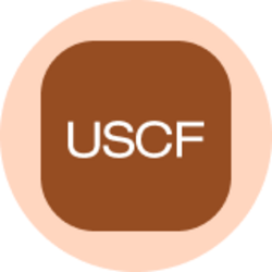 United States Oil Fund (Ondo Tokenized)