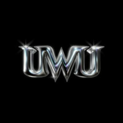 Unlimited Wealth Utility