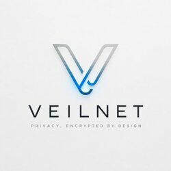 Veilnet
