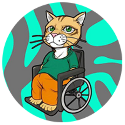 Wheelchair Cat