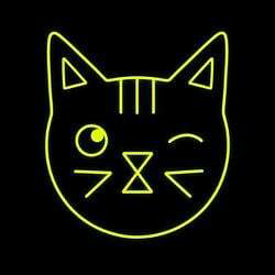 Wink Cat