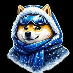 Winter Doge