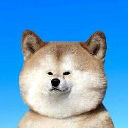 Wob