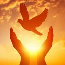 世界和平 (World Peace)