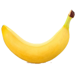 World Record Banana