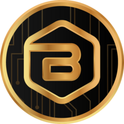 BESC LLC