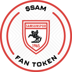 Wrapped Samsunspor (Kayen)